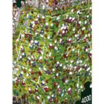 ROMPECABEZAS MORDILLO CRAZY WORLD CUP TRIANGULAR 4000 PIEZAS