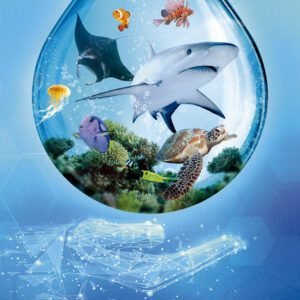 MUNDO MARINO - ARK NOVA