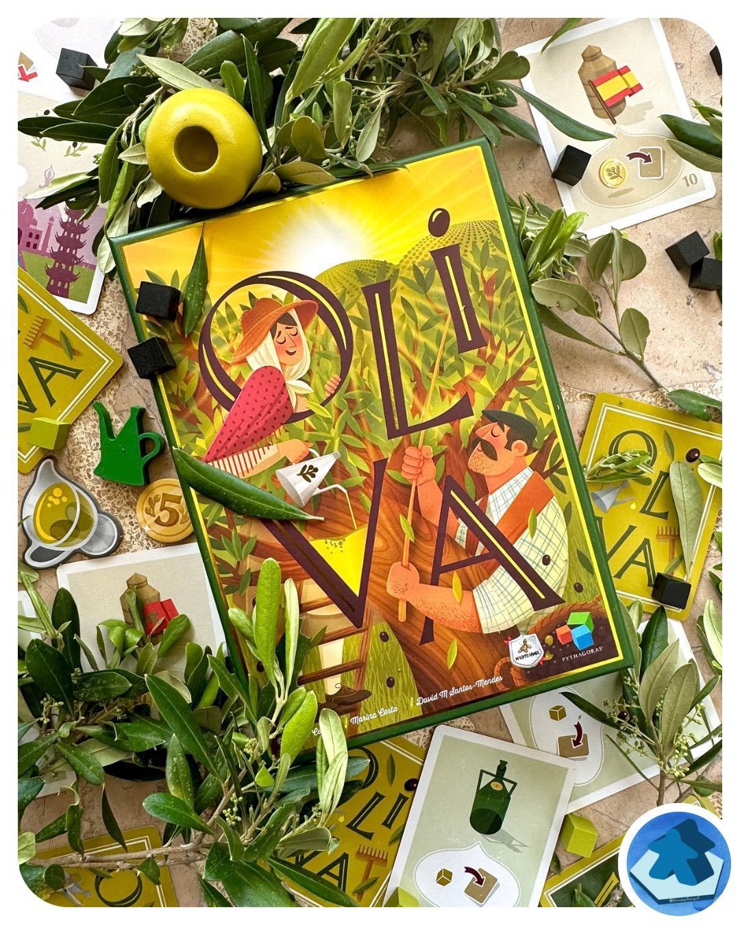 OLIVA - Imagen 5