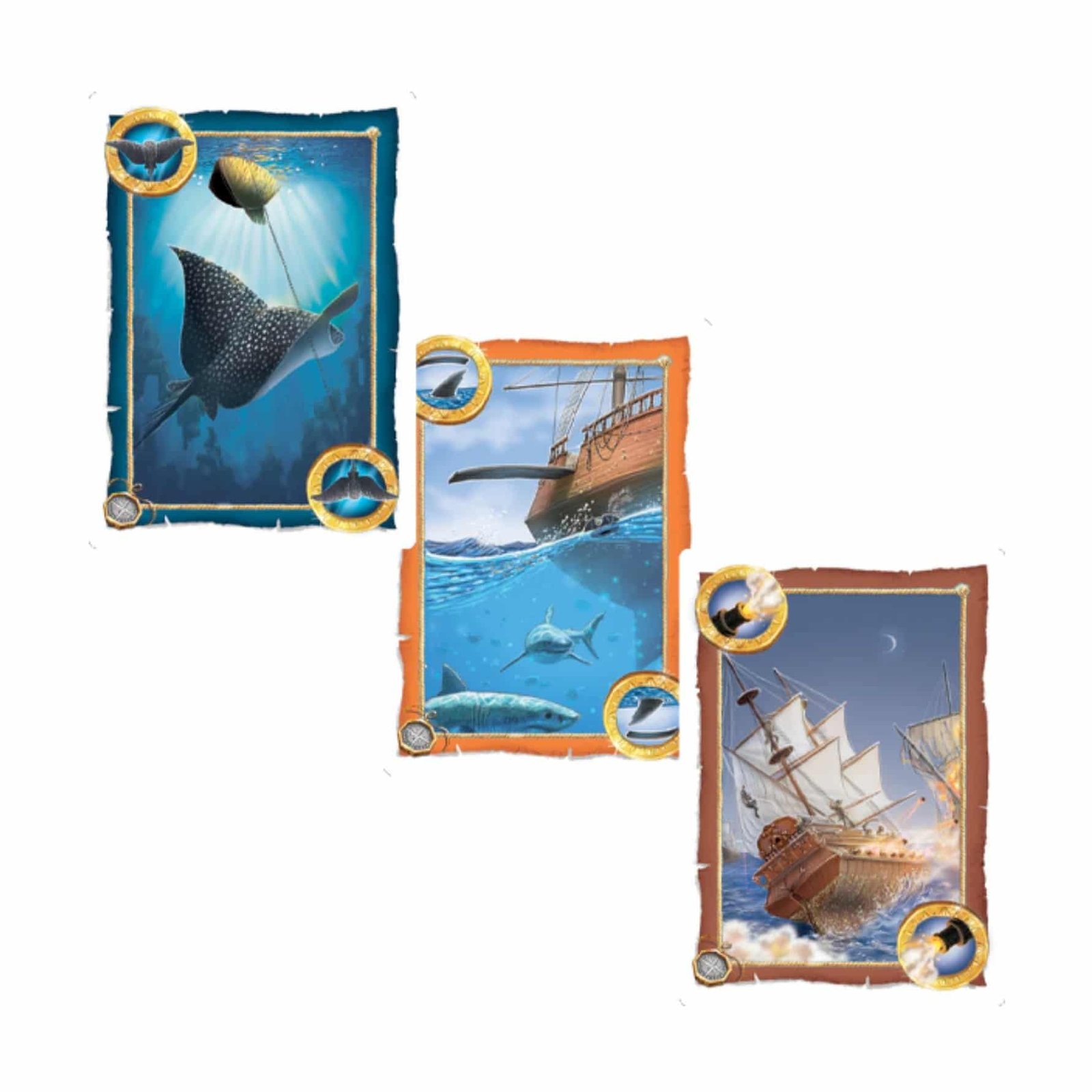 SKULL KING PACK DE EXPANSION - Imagen 2